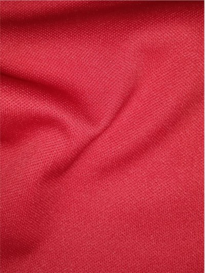 FJ-FRFE    DH-922  珠地布  全滌   205GSM   45度照